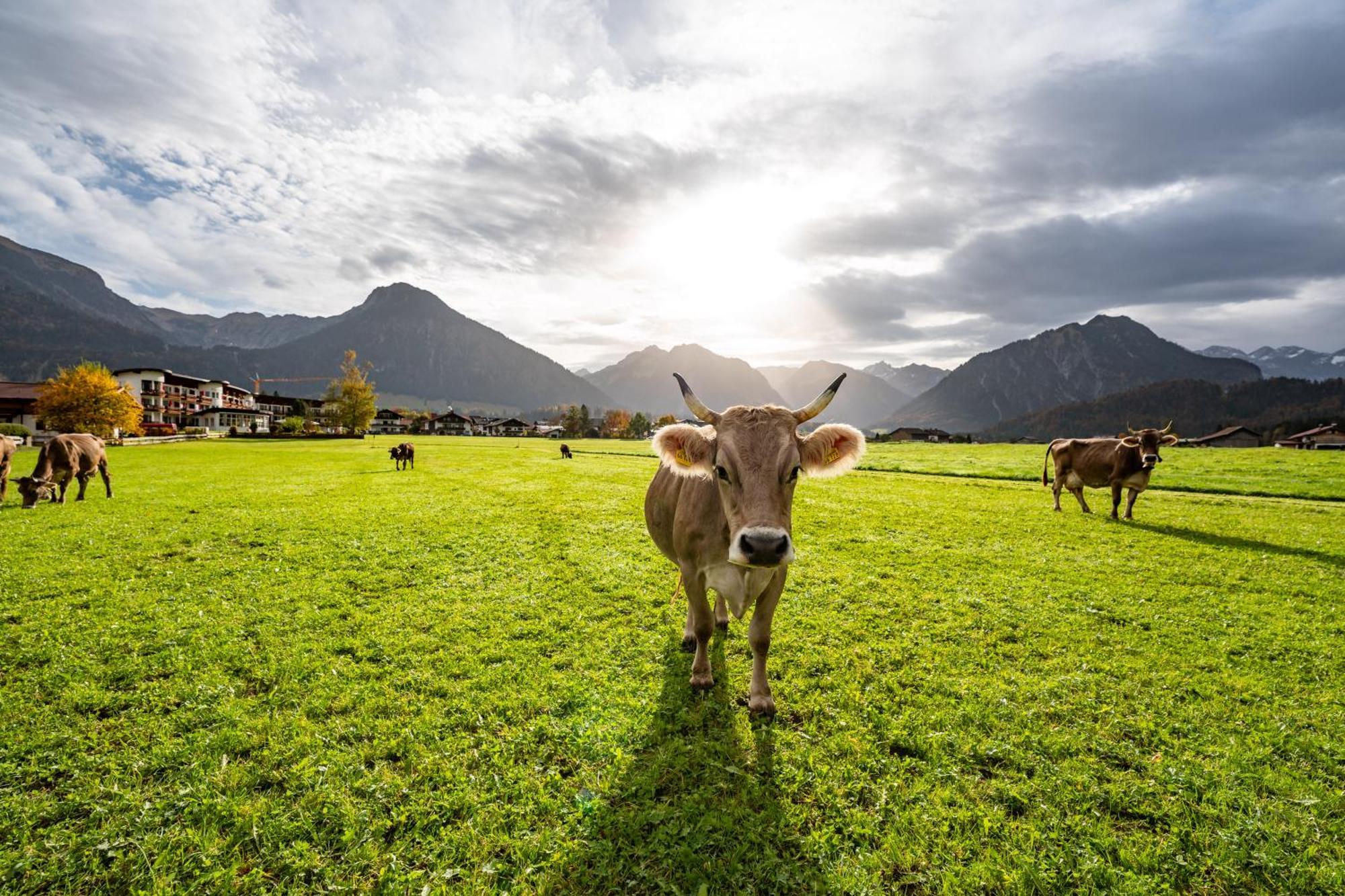 Best Western Plus Hotel Alpenhof Oberstdorf Eksteriør billede